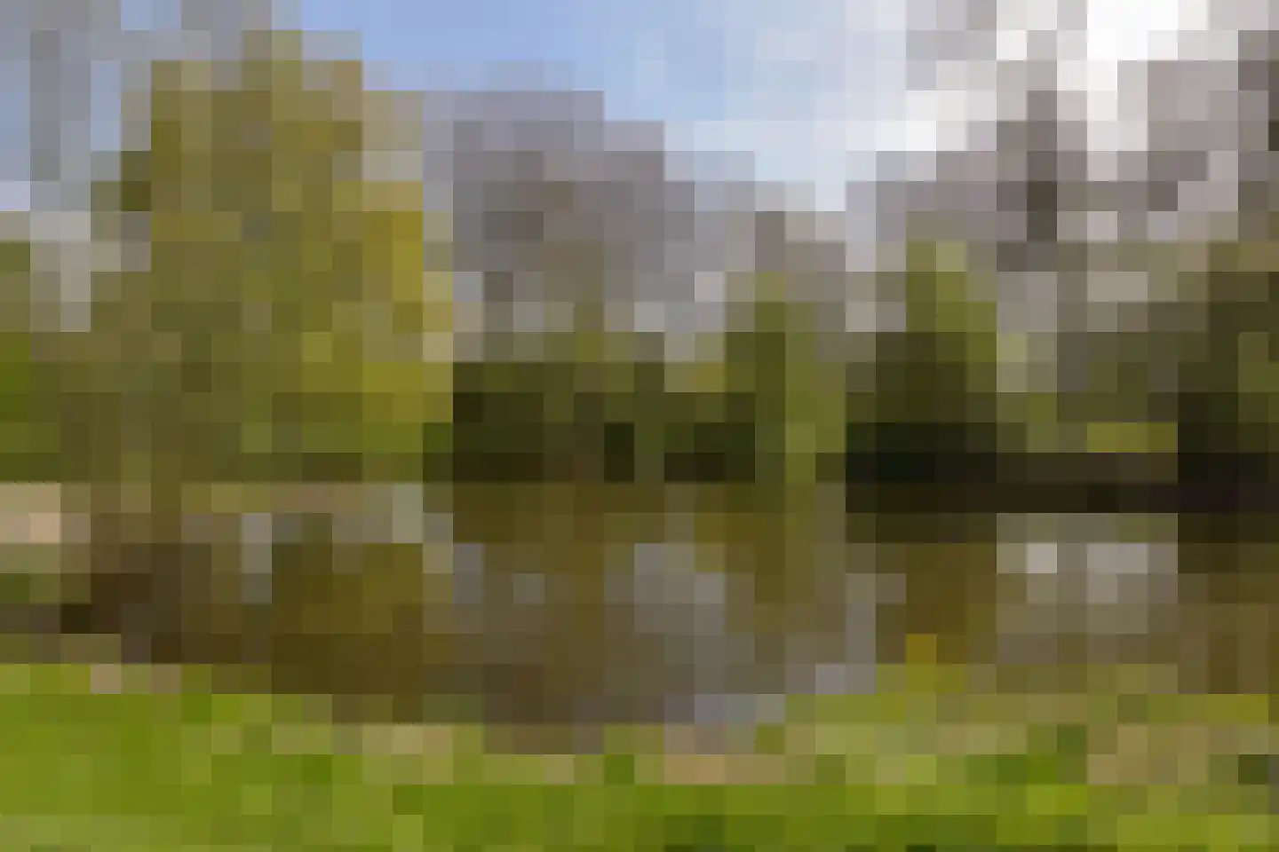 Klaverwoud 12 Zwaag thumbnail 37