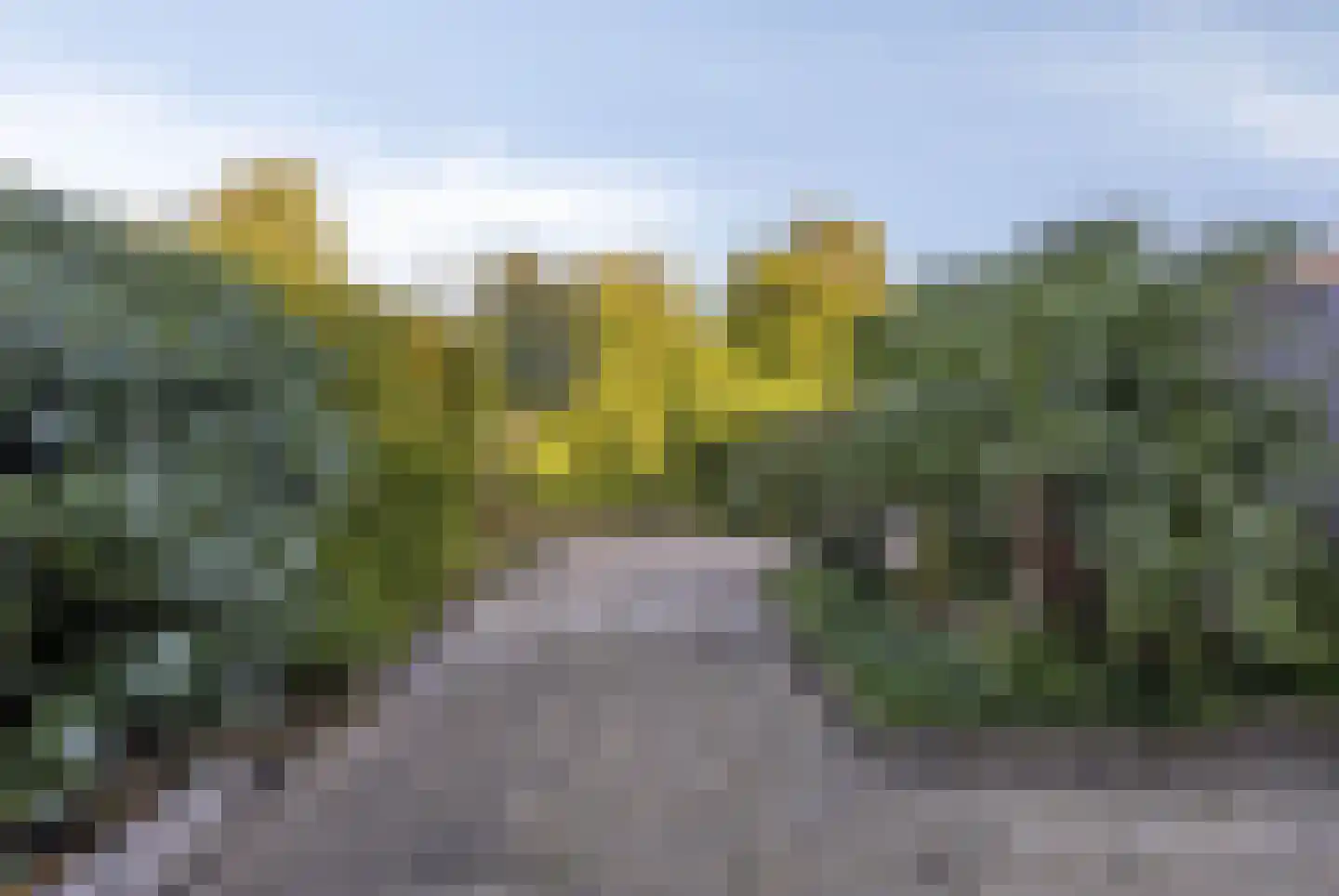 Klaverwoud 33 Zwaag thumbnail 29