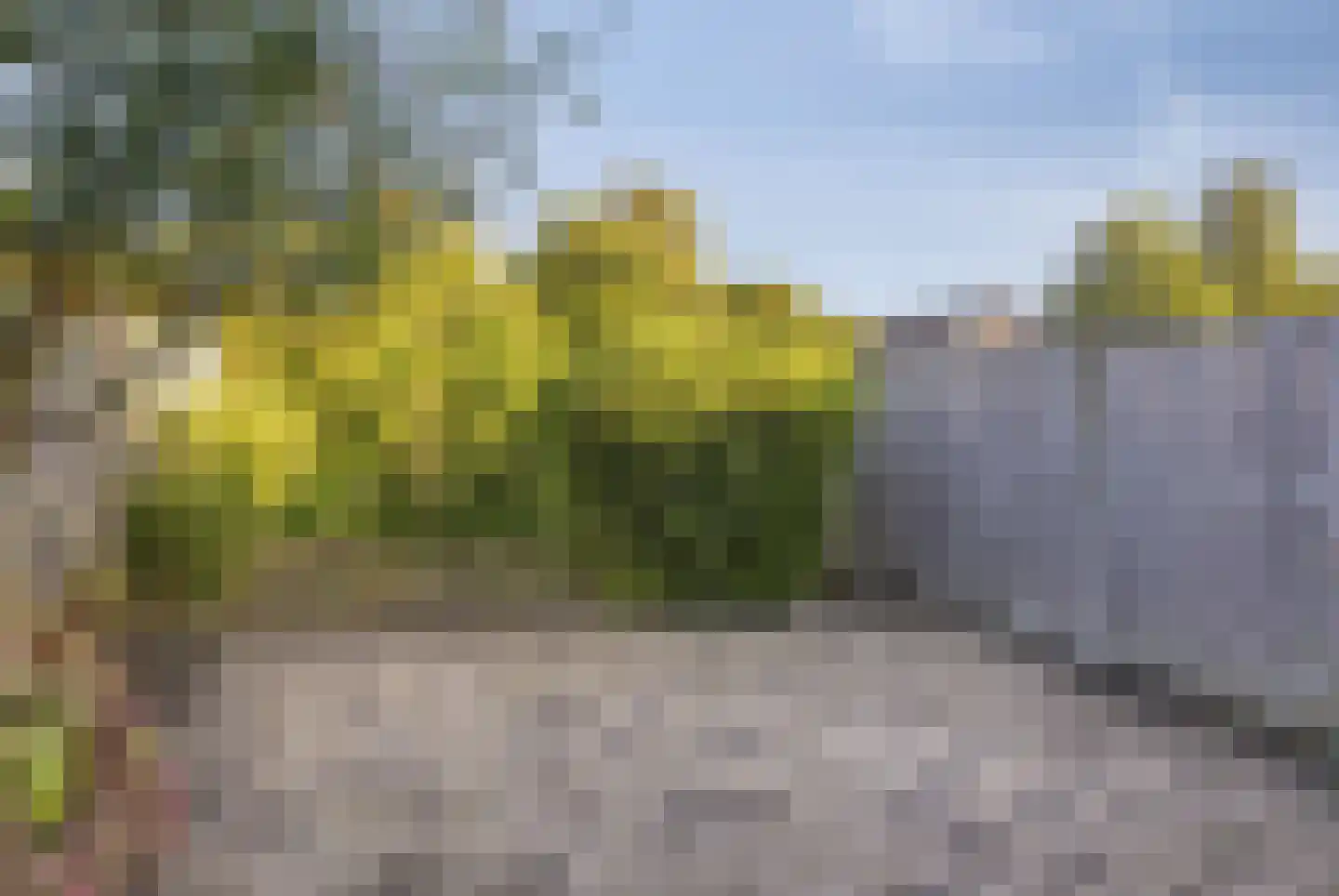 Klaverwoud 33 Zwaag thumbnail 30