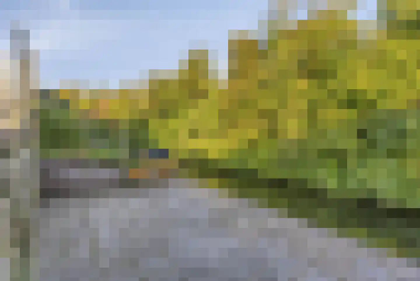 Klaverwoud 33 Zwaag thumbnail 31