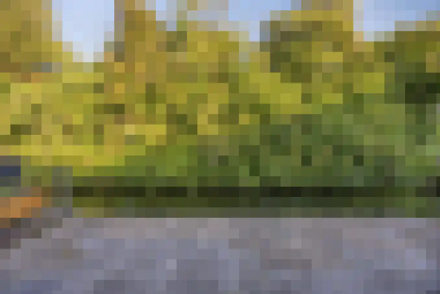 Klaverwoud 33 Zwaag thumbnail 35