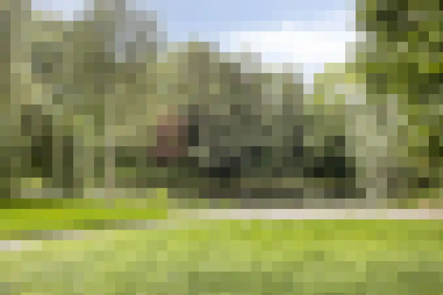 Klaverwoud 33 Zwaag thumbnail 36