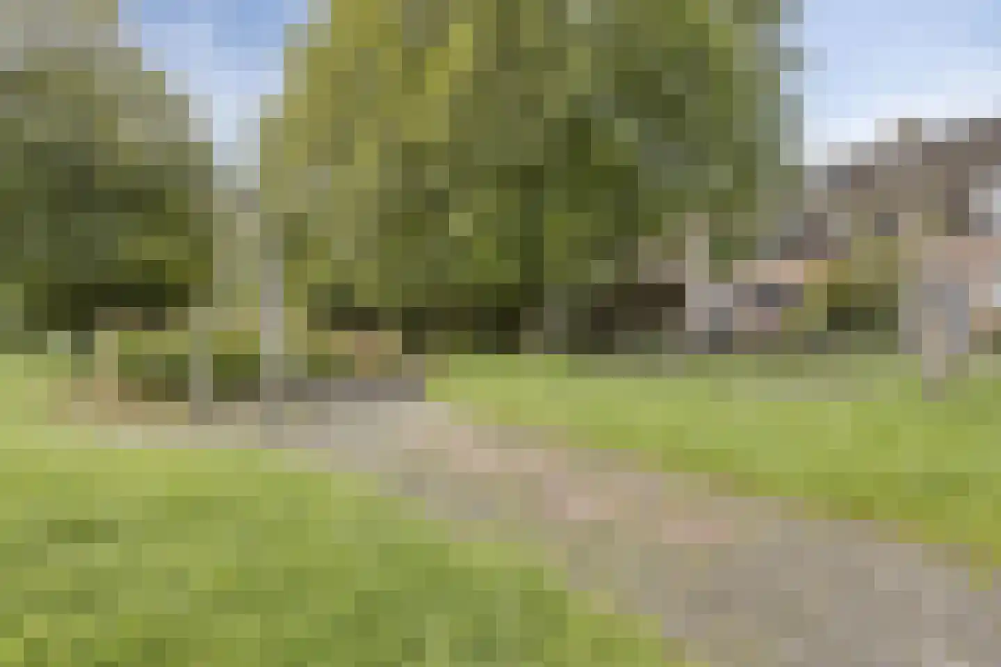 Klaverwoud 33 Zwaag thumbnail 37