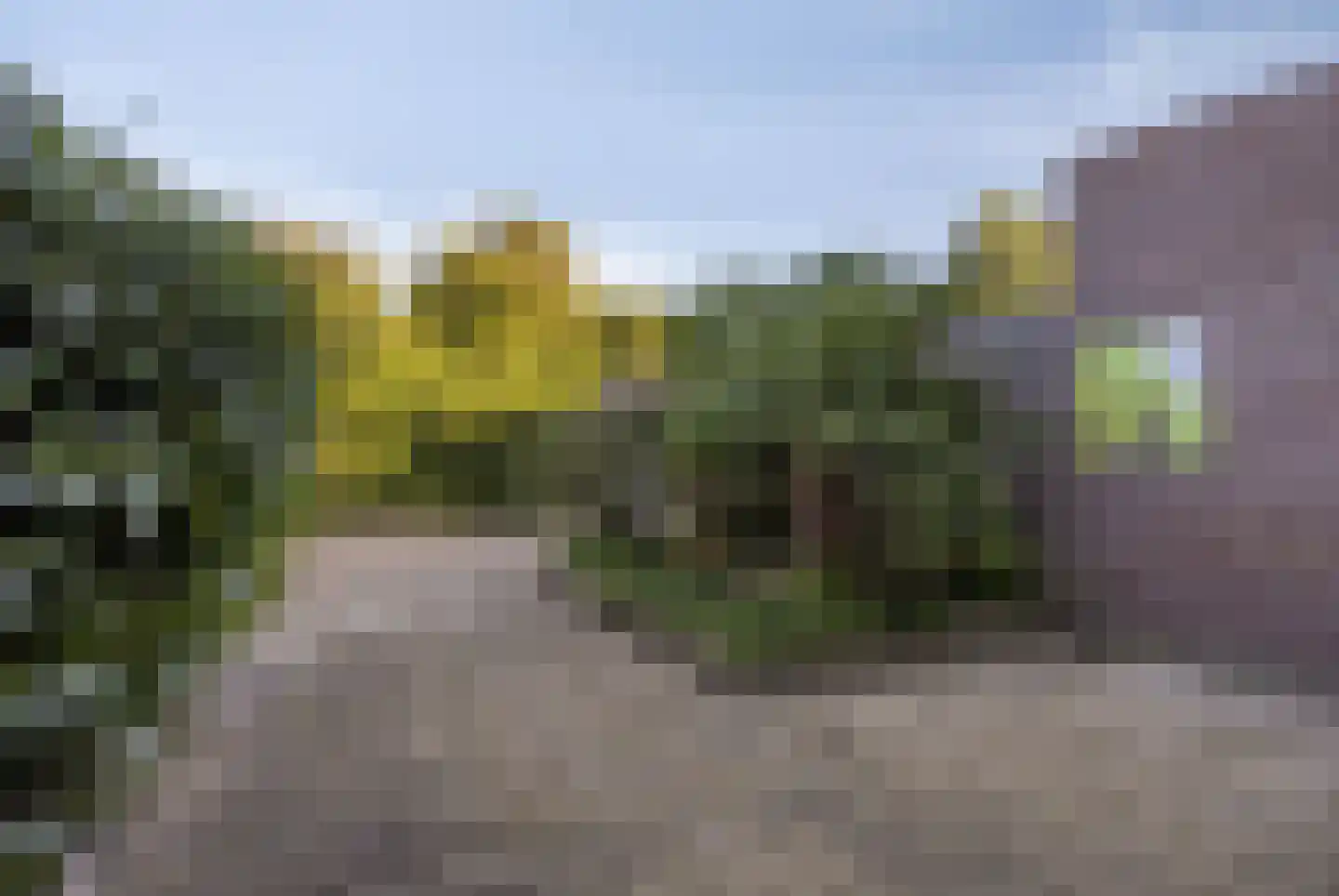 Klaverwoud 33 Zwaag thumbnail 4