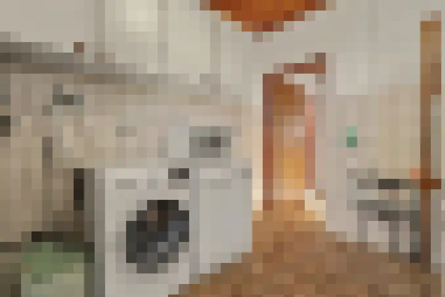 Klavetterstraat 12 Putte thumbnail 14