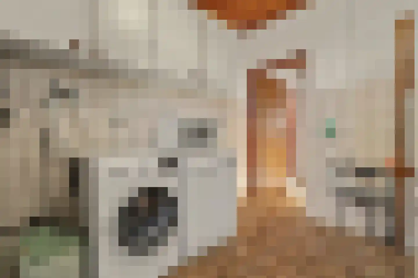 Klavetterstraat 12 Putte thumbnail 14