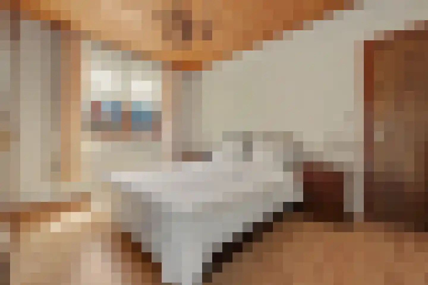 Klavetterstraat 12 Putte thumbnail 15