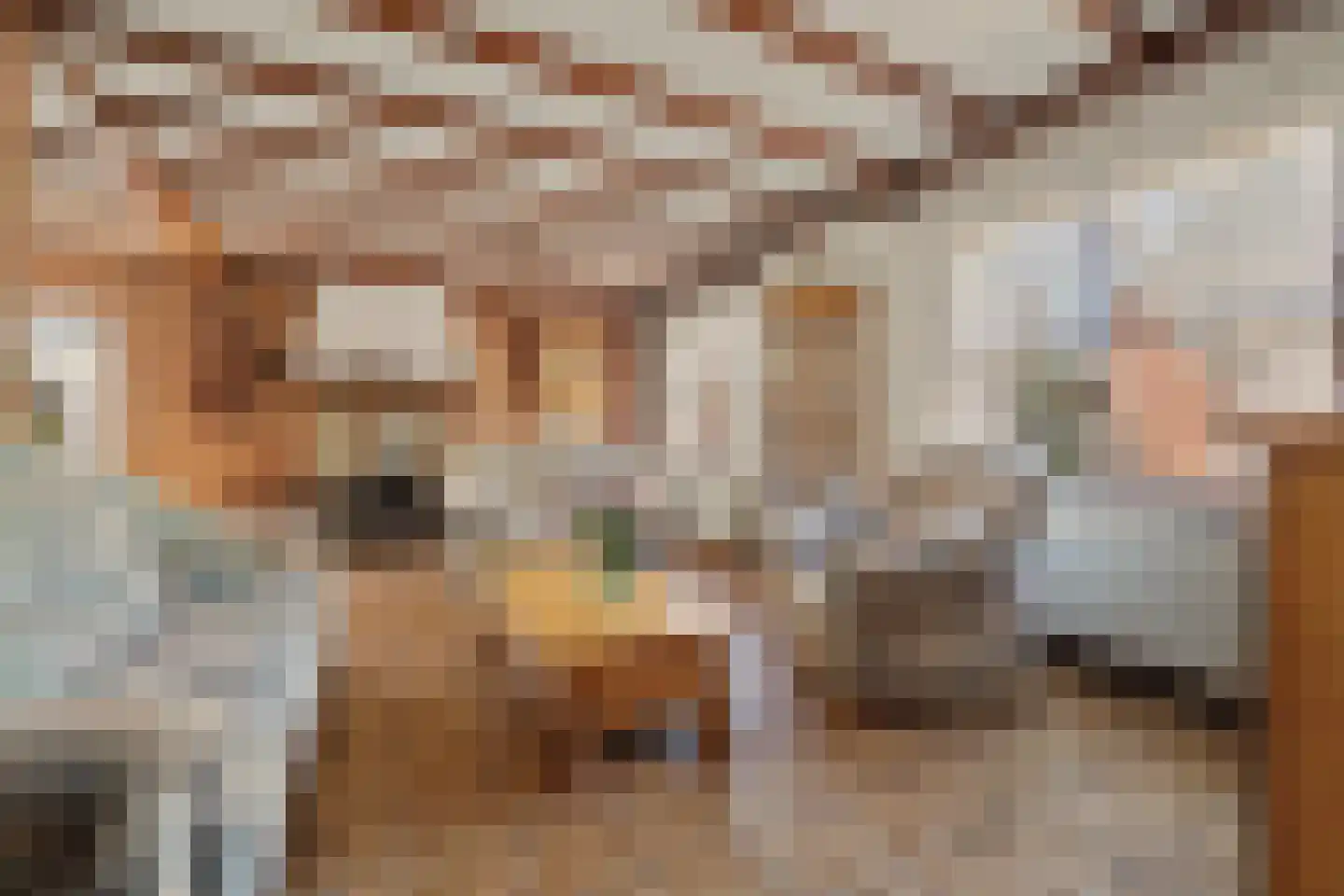 Klavetterstraat 12 Putte thumbnail 7