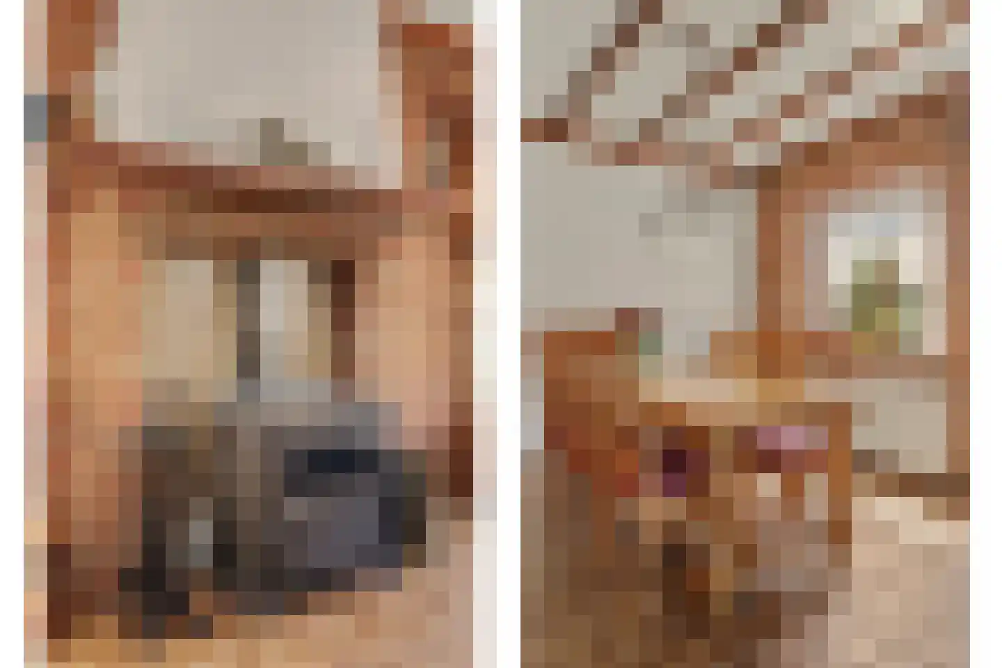 Klavetterstraat 12 Putte thumbnail 8