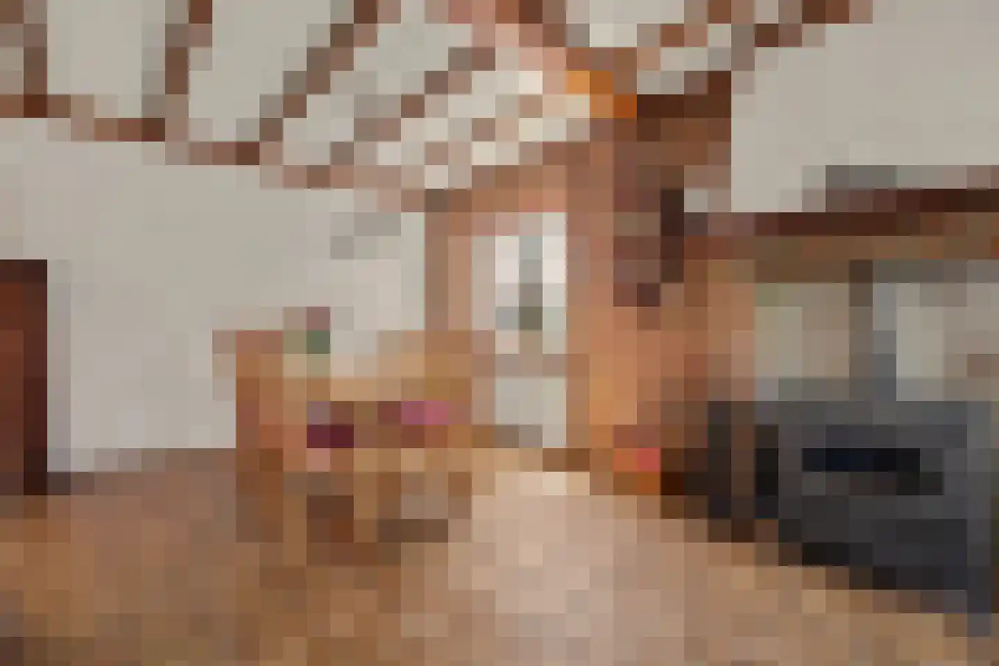 Klavetterstraat 12 Putte thumbnail 9