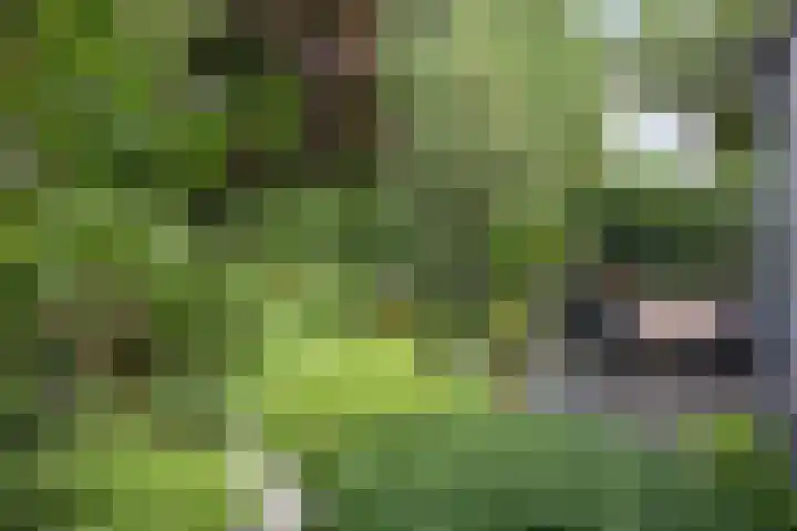 Klazina Hoeve 29 Gouda thumbnail 22