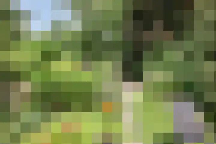 Klazina Hoeve 29 Gouda thumbnail 23