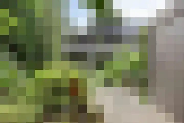 Klazina Hoeve 29 Gouda thumbnail 25