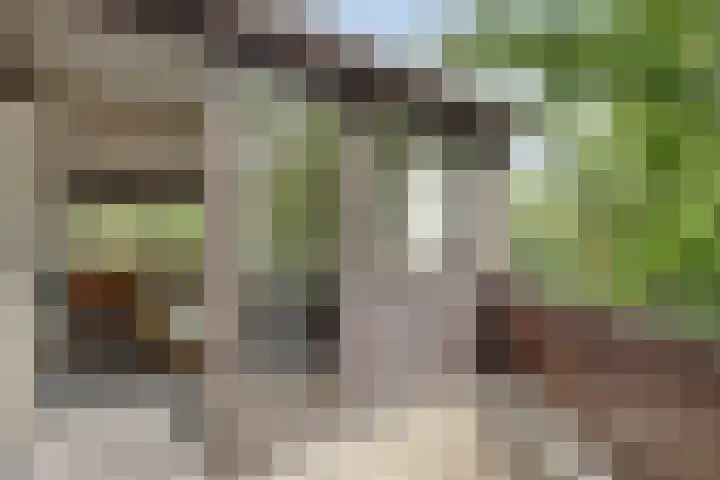 Klazina Hoeve 29 Gouda thumbnail 34