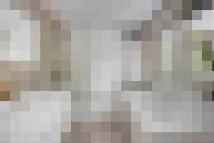 Klazina Hoeve 29 Gouda thumbnail 4
