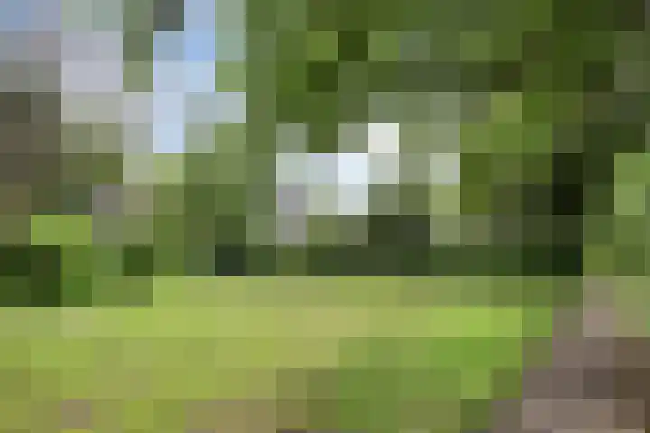 Klazina Hoeve 29 Gouda thumbnail 45
