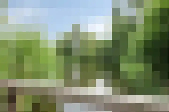 Klazina Hoeve 29 Gouda thumbnail 47