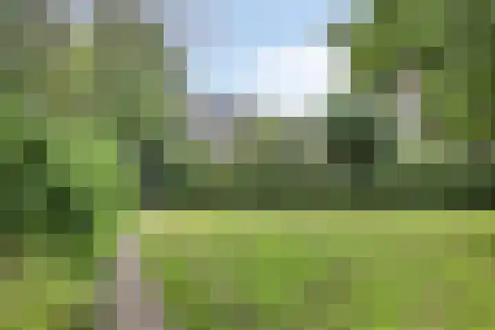 Klazina Hoeve 29 Gouda thumbnail 48