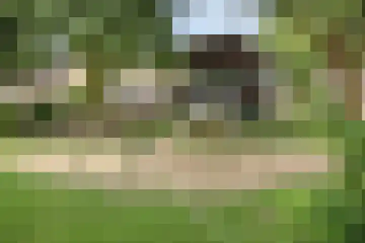 Klazina Hoeve 29 Gouda thumbnail 49