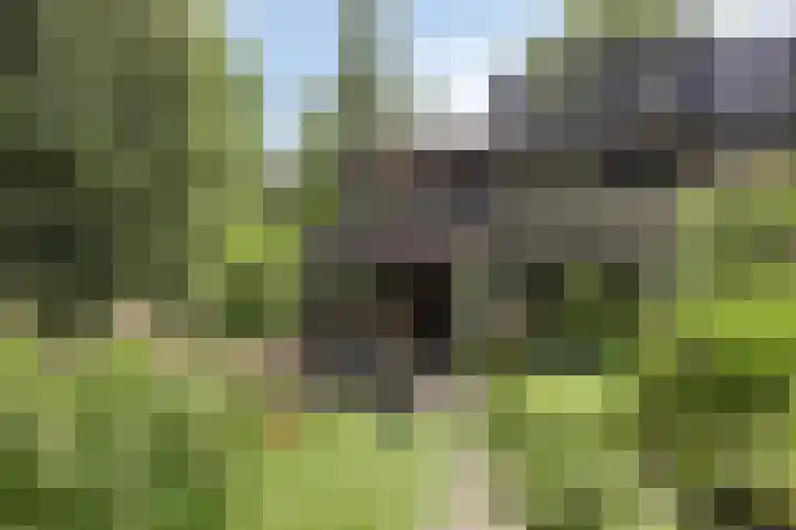 Klazina Hoeve 29 Gouda thumbnail 5