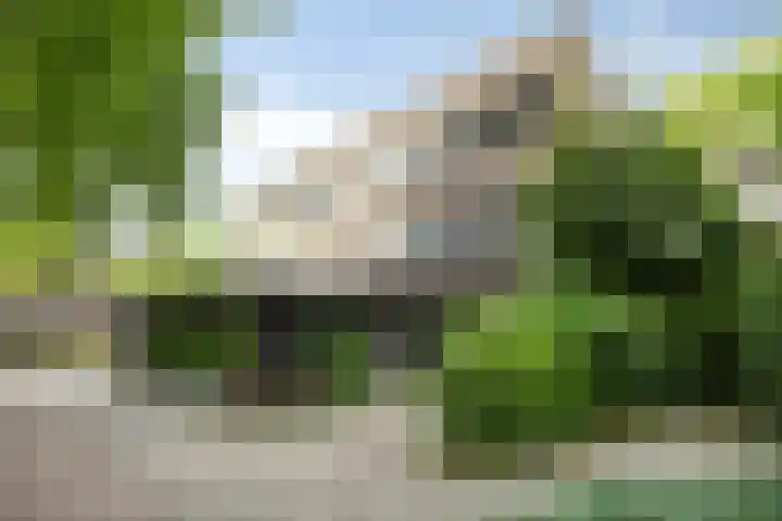 Klazina Hoeve 29 Gouda thumbnail 6