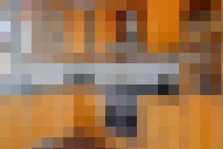 Klazina Hoeve 4 Gouda thumbnail 14