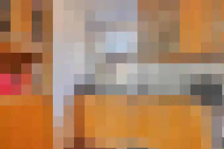 Klazina Hoeve 4 Gouda thumbnail 15