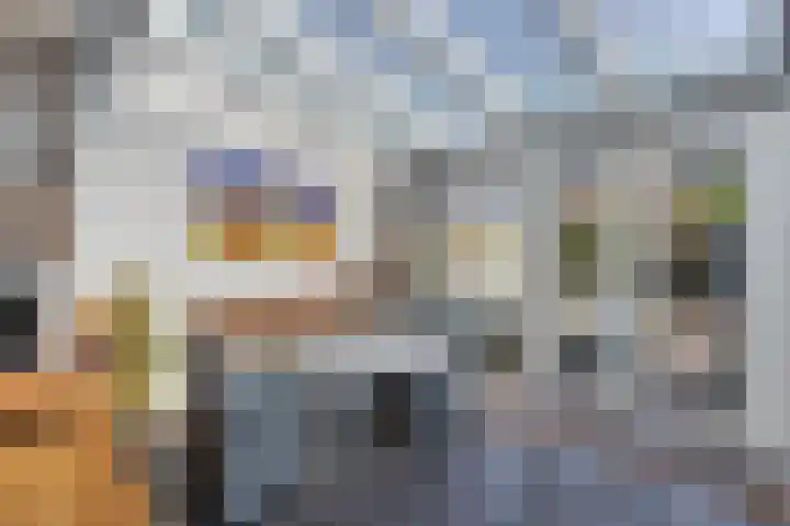 Klazina Hoeve 4 Gouda thumbnail 21