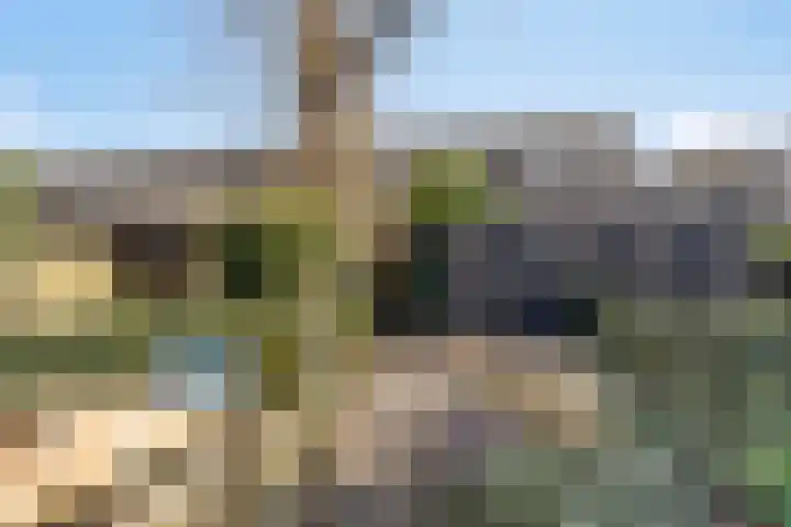 Klazina Hoeve 4 Gouda thumbnail 22