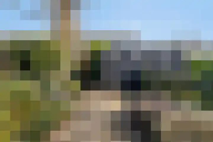 Klazina Hoeve 4 Gouda thumbnail 24
