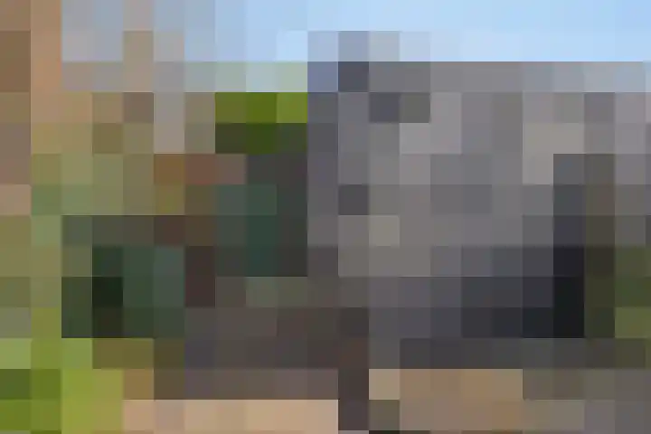 Klazina Hoeve 4 Gouda thumbnail 25