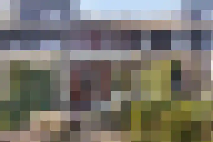 Klazina Hoeve 4 Gouda thumbnail 26