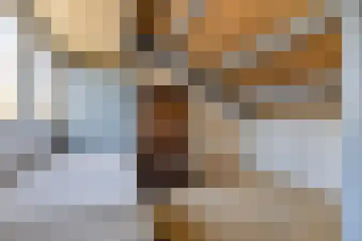 Klazina Hoeve 4 Gouda thumbnail 36