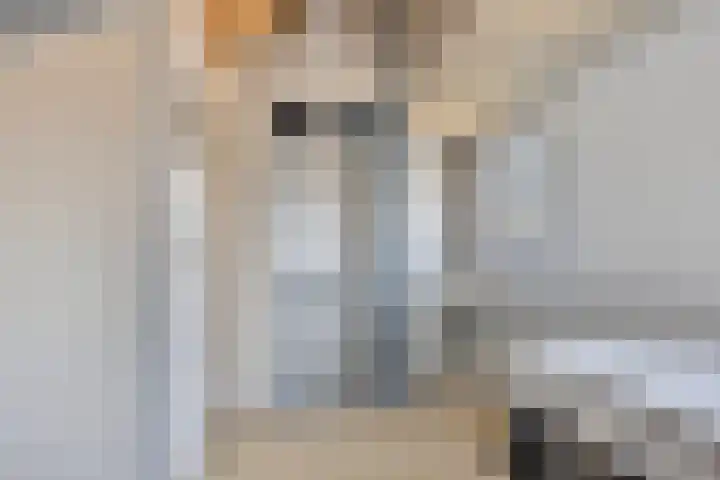 Klazina Hoeve 4 Gouda thumbnail 38