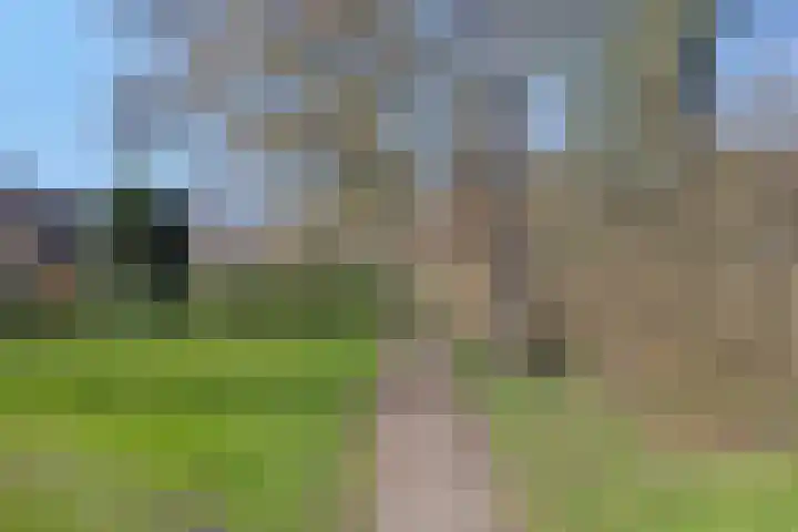 Klazina Hoeve 4 Gouda thumbnail 39