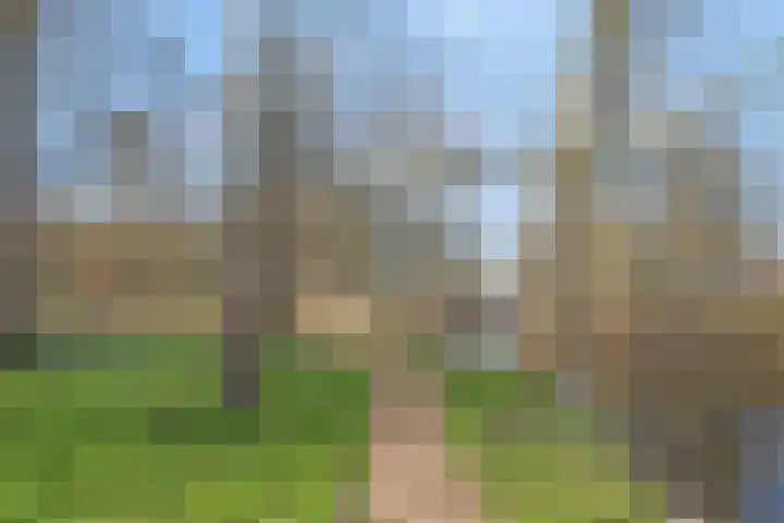 Klazina Hoeve 4 Gouda thumbnail 40