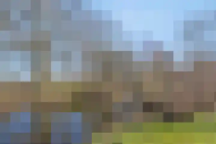 Klazina Hoeve 4 Gouda thumbnail 41