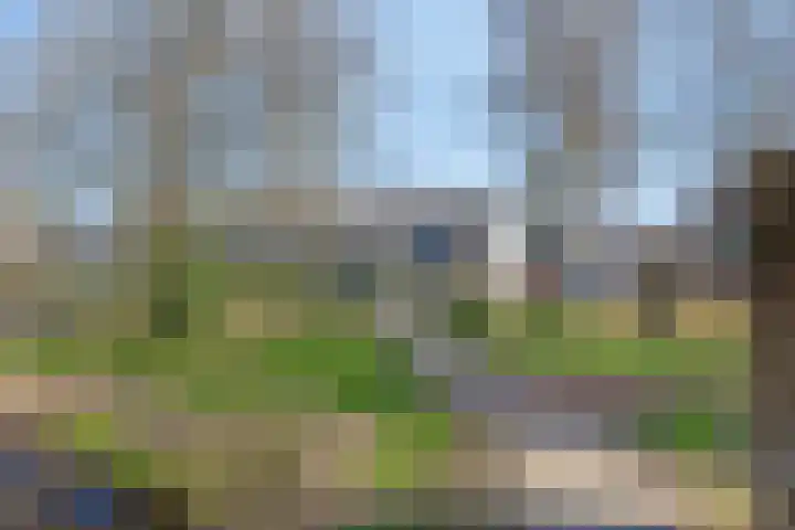 Klazina Hoeve 4 Gouda thumbnail 42