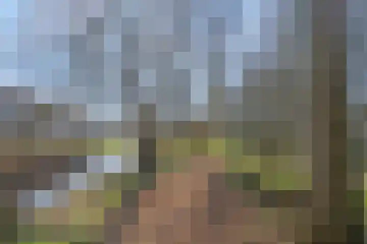 Klazina Hoeve 4 Gouda thumbnail 43