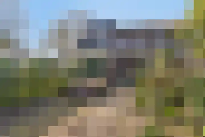 Klazina Hoeve 4 Gouda thumbnail 5