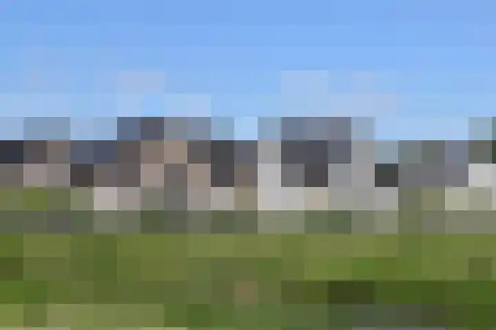 Klazina Hommeshof 11 Dordrecht thumbnail 15