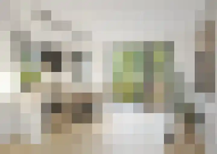 Klazina Hommeshof 11 Dordrecht thumbnail 5