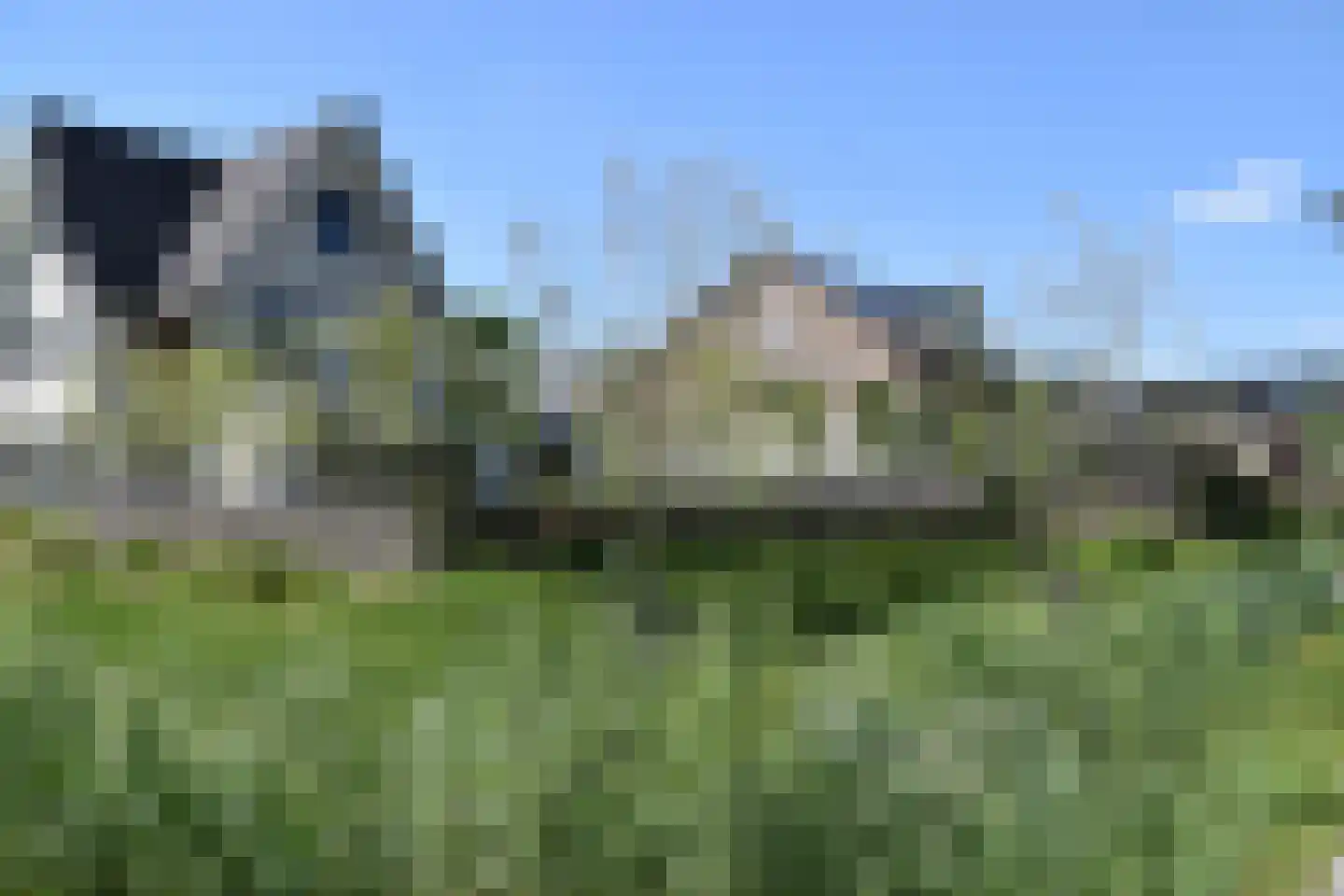 Klazina Hommeshof 5 Dordrecht thumbnail 8