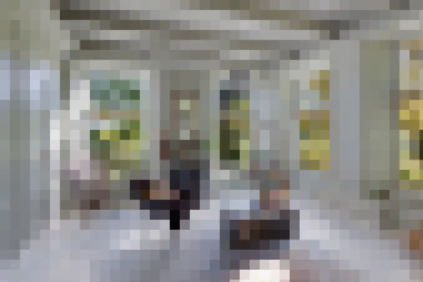 Kleasterdyk 2 Britswert thumbnail 15