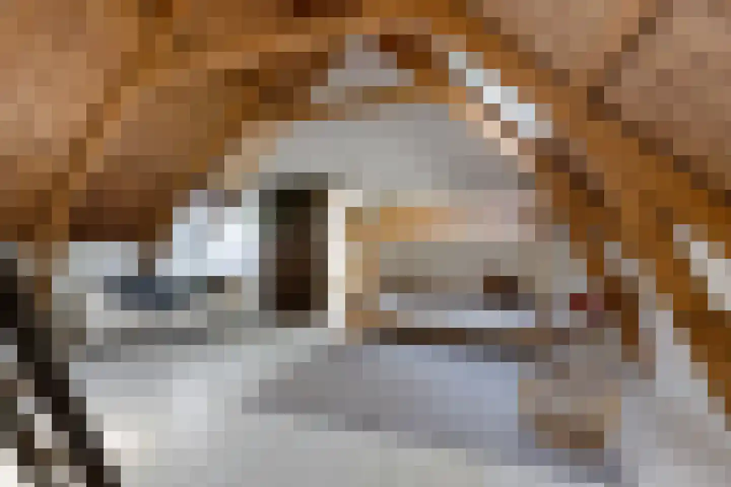 Kleasterdyk 2 Britswert thumbnail 20
