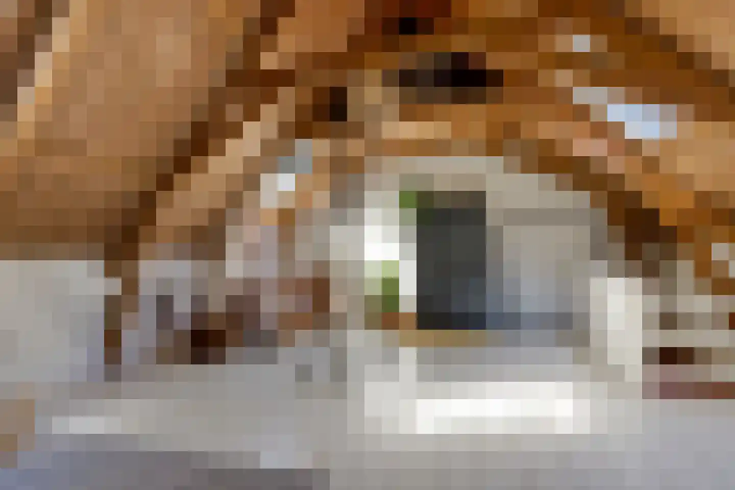 Kleasterdyk 2 Britswert thumbnail 21