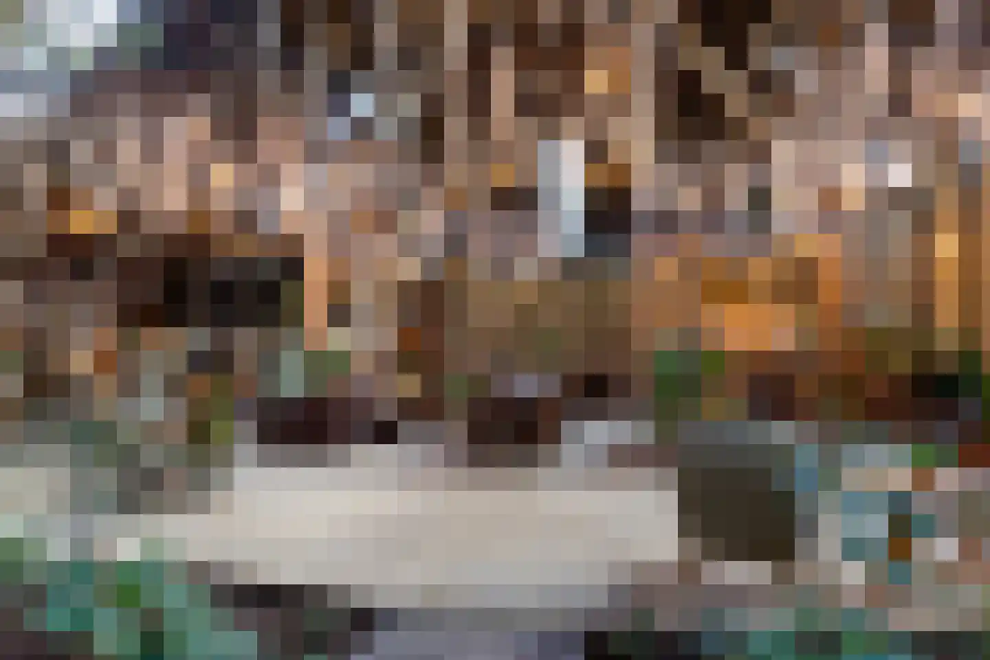 Kleasterdyk 2 Britswert thumbnail 25