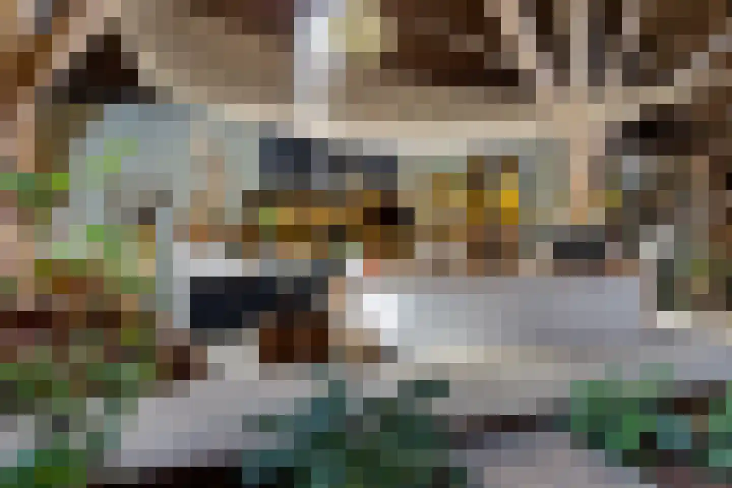 Kleasterdyk 2 Britswert thumbnail 26