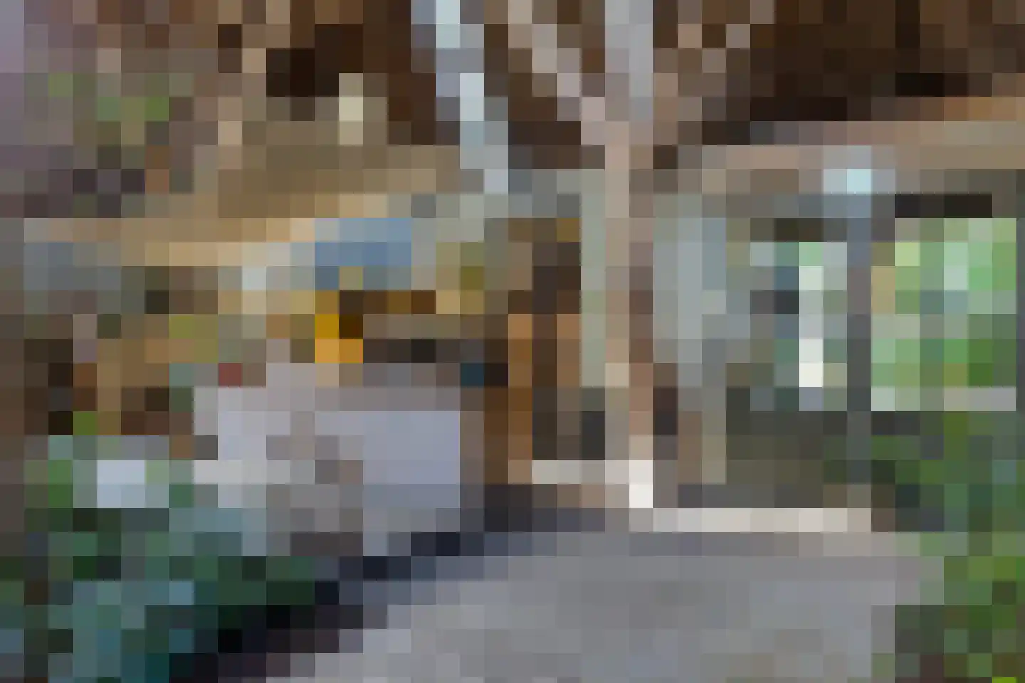 Kleasterdyk 2 Britswert thumbnail 27