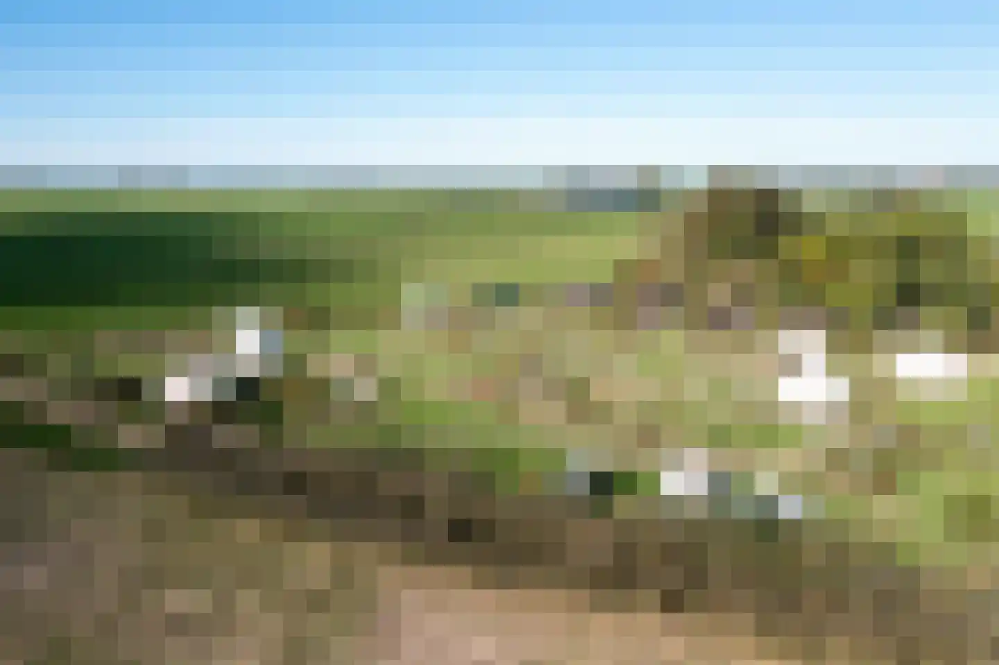 Kleasterdyk 2 Britswert thumbnail 42